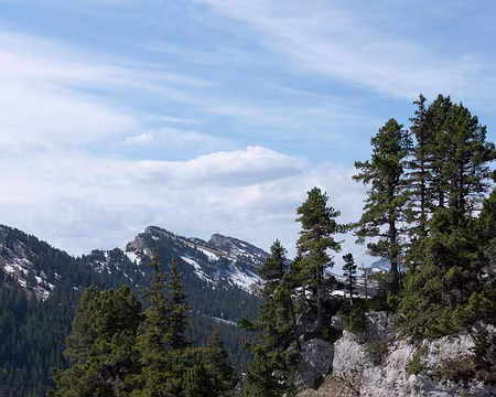 PXL056 Pas de l'échelle