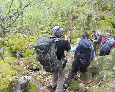 PXL010 Si, si c'est par là, le lieu du campement.