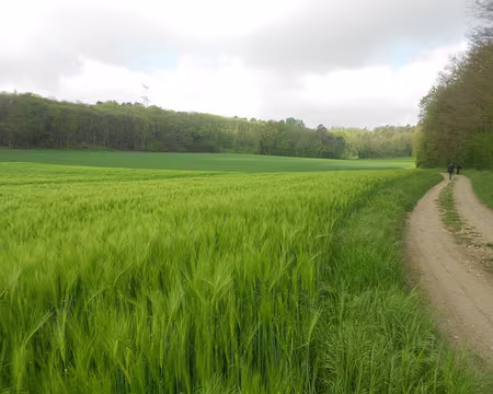 PXL014 Vers Boissy-le-Cutté