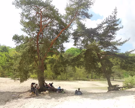 PXL019 Pause déjeuner