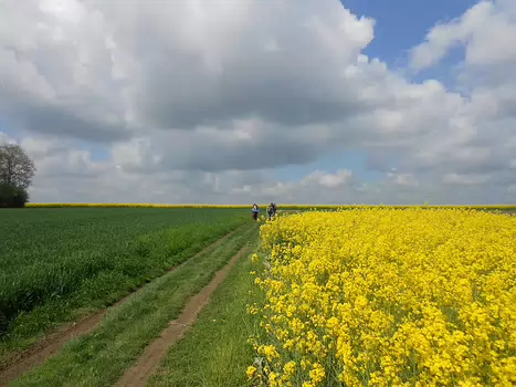 2012-05 Fontainebleau-Rambouillet