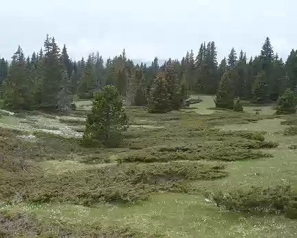 Fait pas très beau aujourd'hui.. Fait pas très beau aujourd'hui..