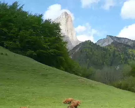 On a eu chaud, c'est dans le champ d'à côté que le chef voulait nous faire dormir ! On a eu chaud, c'est dans le champ d'à côté que le chef voulait nous faire dormir !