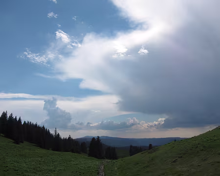 Picasa Vague menace.