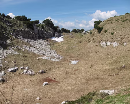 PXL039 La neige vient de fondre sur son Crêt