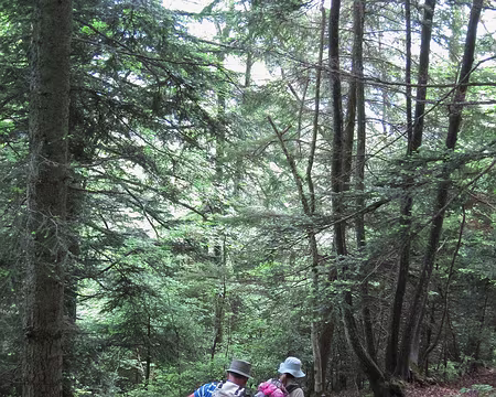 PXL076 Descente sans lacets sur Collonges