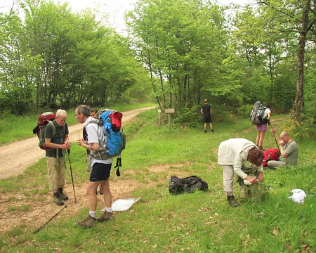 PXL013 chacun vaque à ses occupations...