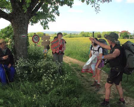 PXL078 J'ai retrouvé l'endroit (pour Sylvie), c'est Mas de Toulze, lieu dit sur la commune de Frausseilles.