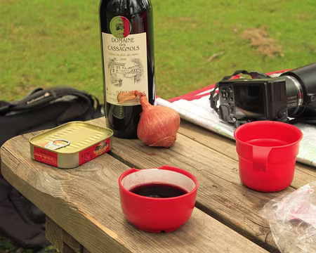 PXL146 Un camembert du pecheur en vue (Monteils)