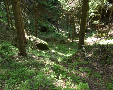 PXL057 vallon sauvage