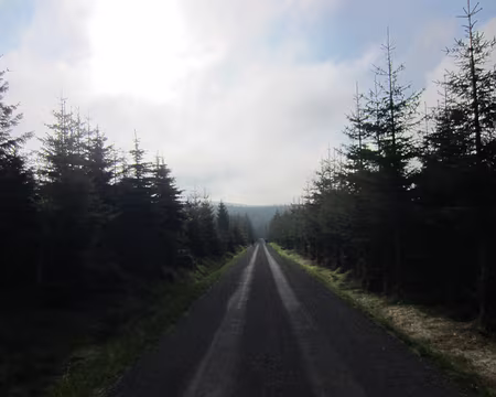 PXL151 8ème étape, le 24 mai, de Smedava à Szrenica ; début de matinée un peu brumeuse...