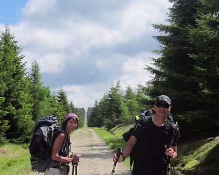 PXL161 très longue ligne droite...