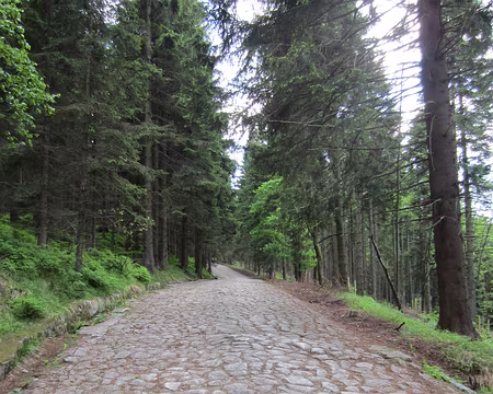 PXL167 dans le Parc du Karkonoze, des chemins pavés sur des kilomètres et des kilomètres...