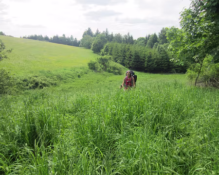 PXL212 passage hors sentier