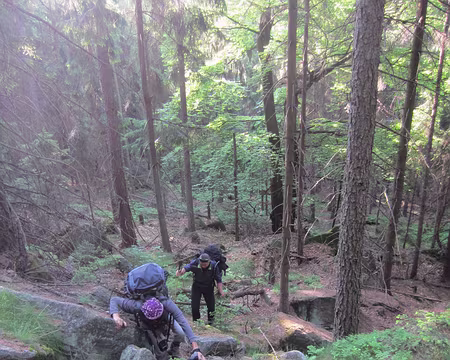 PXL220 petit passage hors sentieravant d'arriver à Janovice u Trutnova