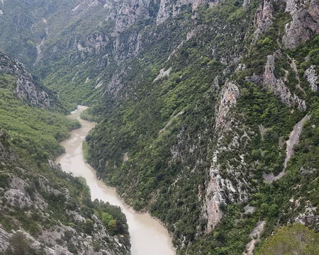 P1012187 Un dernier coup d'oeil sur le serpent