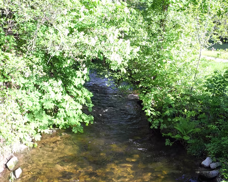 PXL007 la petite Fecht