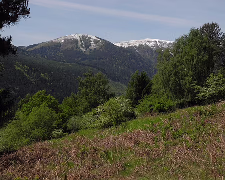 PXL012 le grand et petit Hohnek