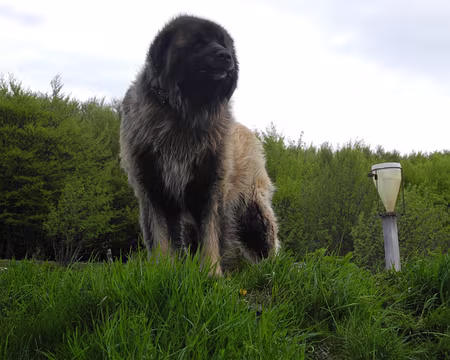 PXL017 le gardien du refuge des trois fours