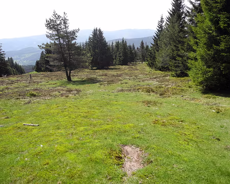 PXL024 sur les crêtes