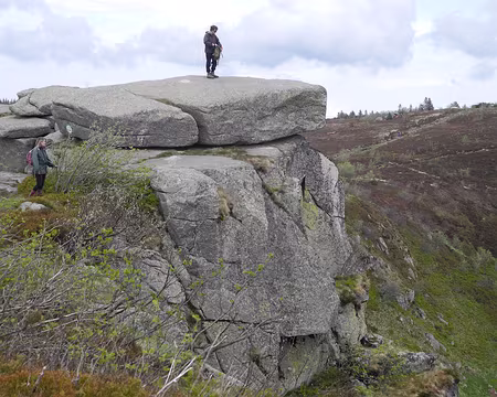 PXL029 crête du gazon Faing