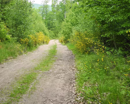 PXL038 descente sur Munster