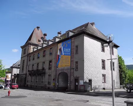 PXL039 une toiture bien occupée