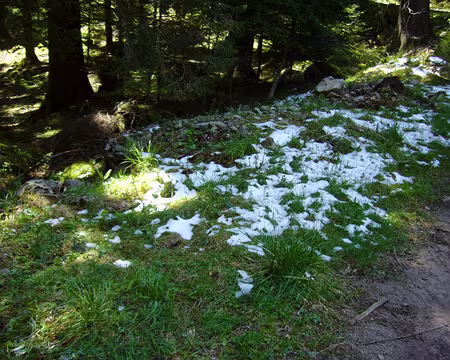 PXL005 Un peu de neige