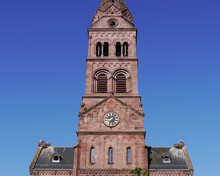 P1000019 gros pigeons...