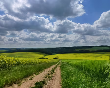 PXL006 Courbes et vallons