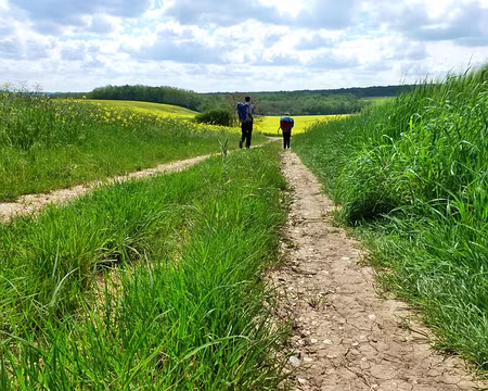 PXL007 Toujours sur les chemins