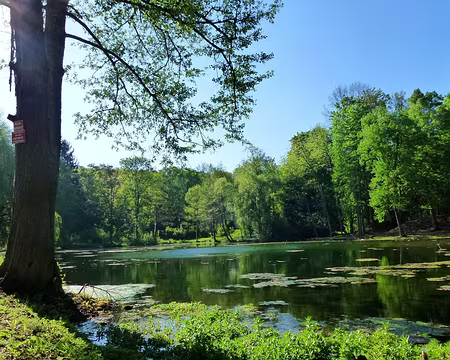 PXL022 2nd jour : aquatique