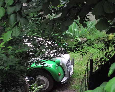 PXL021 Même la 2CV est verte
