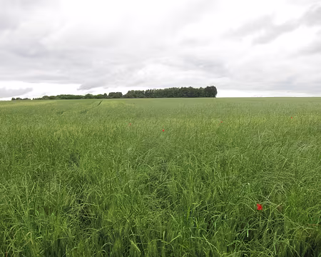 PXL026 Étude pour peintre