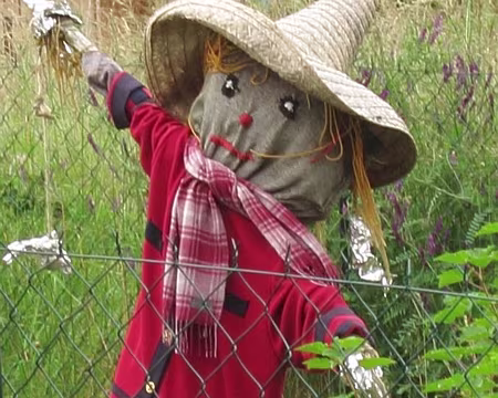 PXL031 Surveillés…