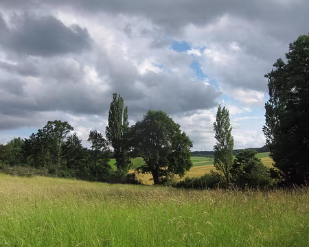 PXL040 Sujet pour Cézanne…