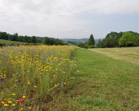 PXL018 Près d'Alise-Ste-Reine