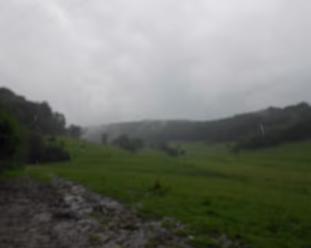 PXL037 Pendant l'orage.