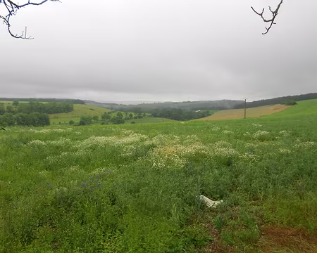 PXL043 Départ pluvieux, Blessey