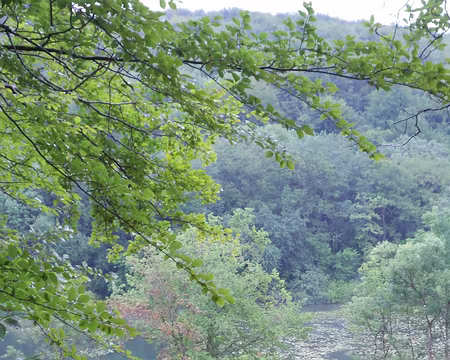 PXL047 Etang de Griande