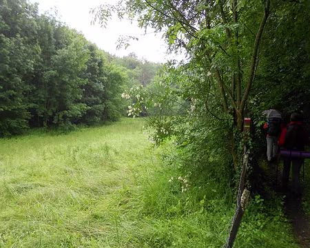 PXL050 Vallée de la Seine