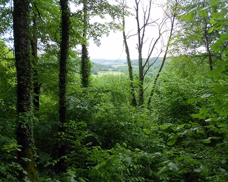 PXL060 Vallée de l'Ignon