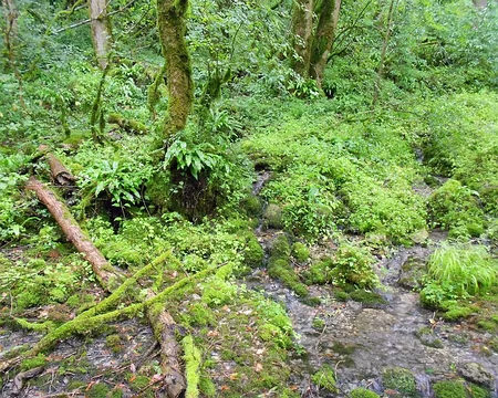 PXL062 Sources de l'Ignon