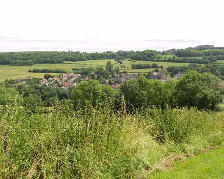 PXL077 St-Seine-l'Abbaye