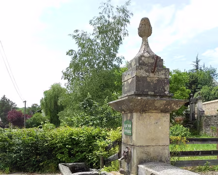 PXL081 St-Seine-L'Abbaye