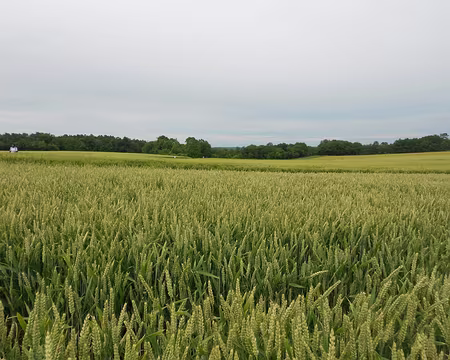 PXL000 Campagne près de Boutigny-sur-Essonne