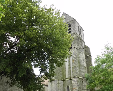 PXL010 ...de Courances.