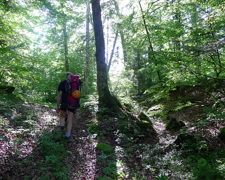 PXL003 ... puis nous repartons à la recherche de sentes forestières (complètement) oubliées.