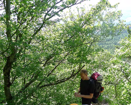 PXL010 Ca monte toujours.