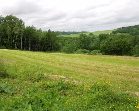 PXL011 ...du Petit-Morin